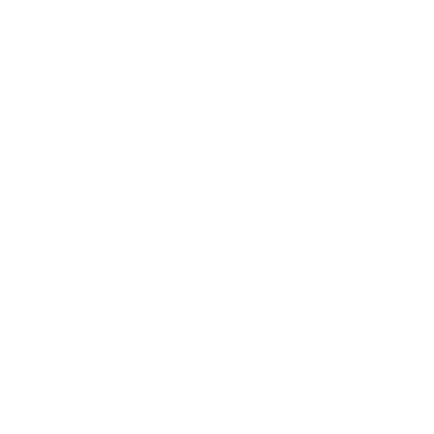 RICS Condition Report