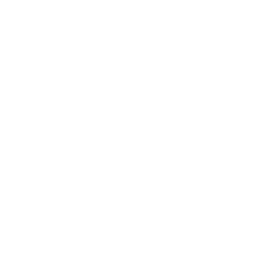 RICS Building Survey